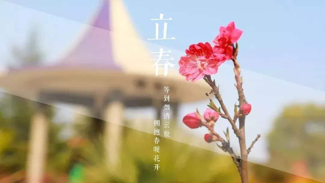 1582685529495157.jpg 齐普生新年致辞.jpg