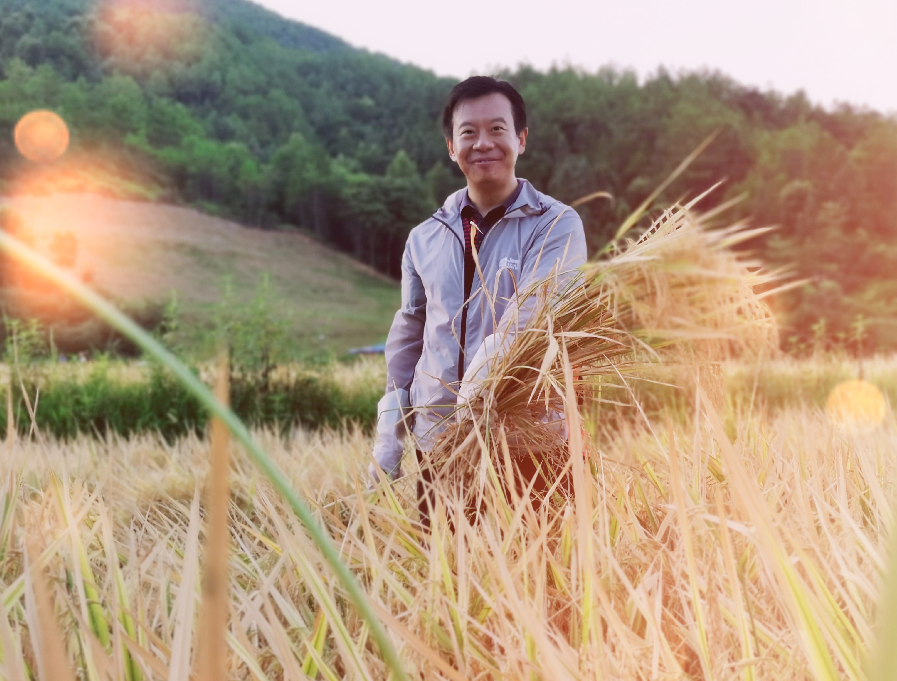 1598323796956451.jpg 稻田里的随想2.jpg